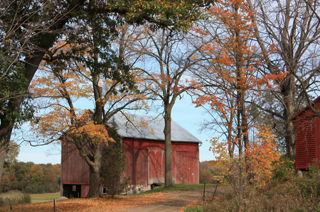 Waterloo- Autumn.jpg